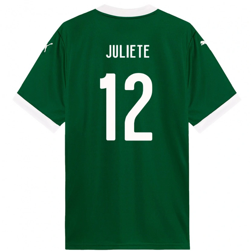 Danxen Kid Juliete #12 Green White Home Jersey 2025/26 T-Shirt