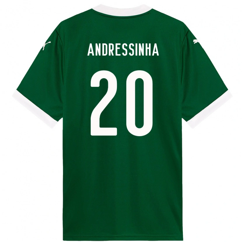 Danxen Men Andressinha #20 Green White Home Jersey 2025/26 T-Shirt