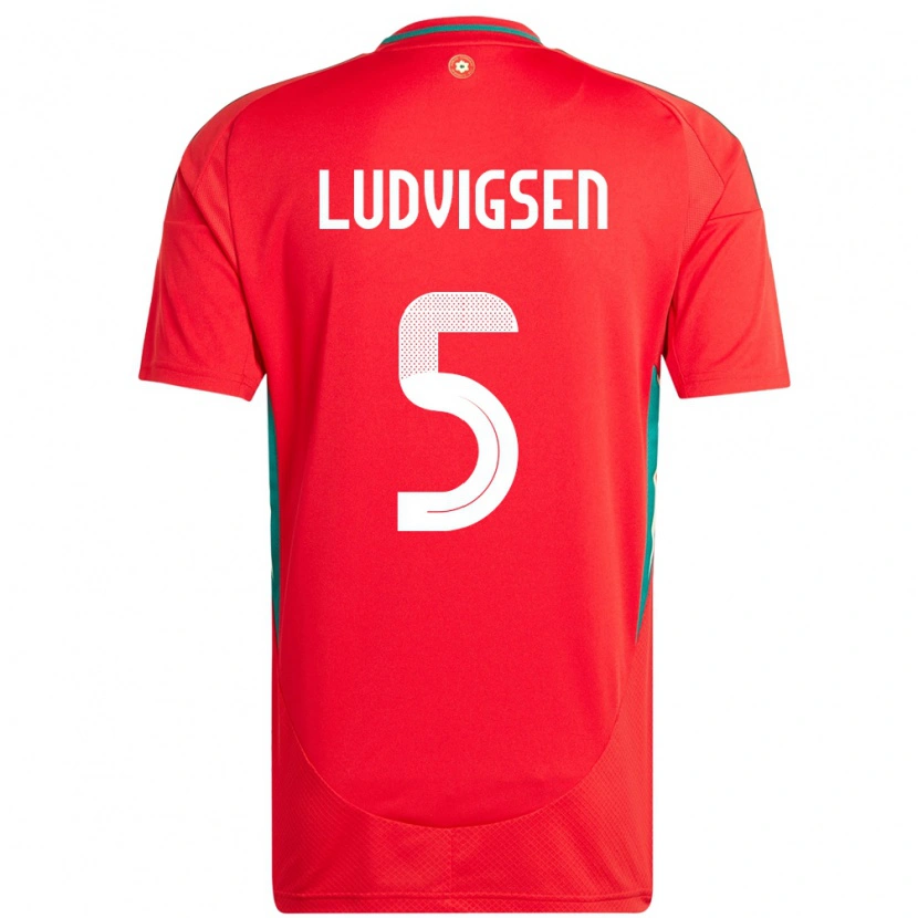 Danxen Kid Wales Kai Ludvigsen #5 Red Home Jersey 24-26 T-Shirt