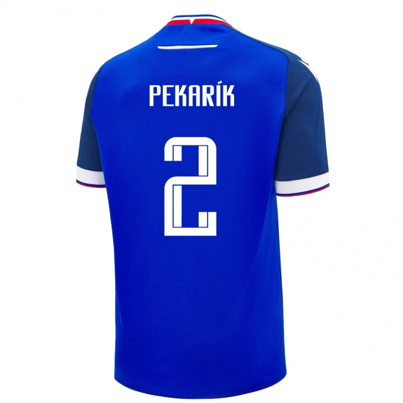 Danxen Kid Slovakia Peter Pekarík #2 Blue Home Jersey 24-26 T-Shirt