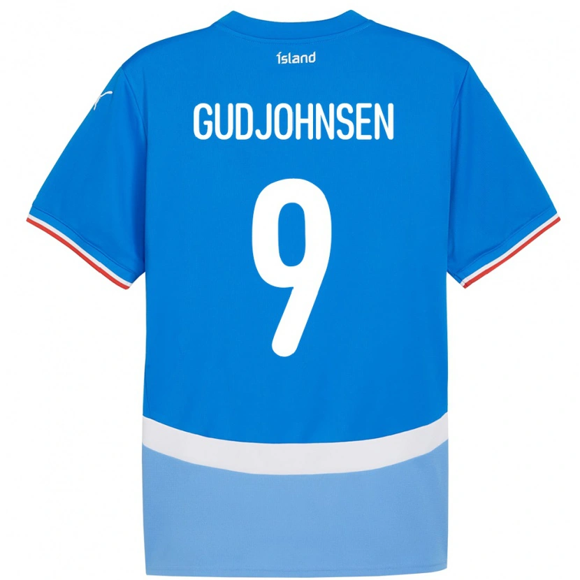 Danxen Kid Iceland Daníel Gudjohnsen #9 Blue Home Jersey 24-26 T-Shirt