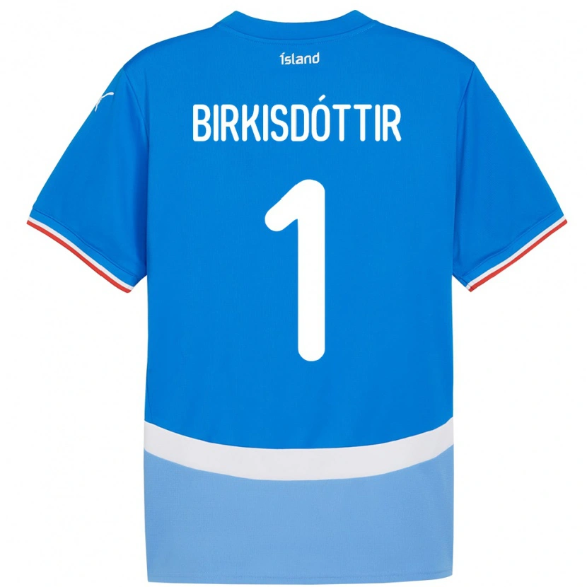 Danxen Kid Iceland Fanney Inga Birkisdóttir #1 Blue Home Jersey 24-26 T-Shirt