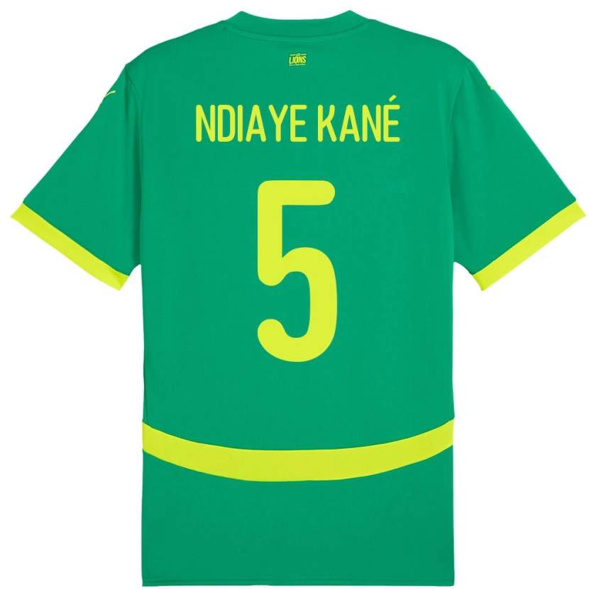 Danxen Kid Senegal Ndeye Ndiaye Kane #5 Green Away Jersey 24-26 T-Shirt