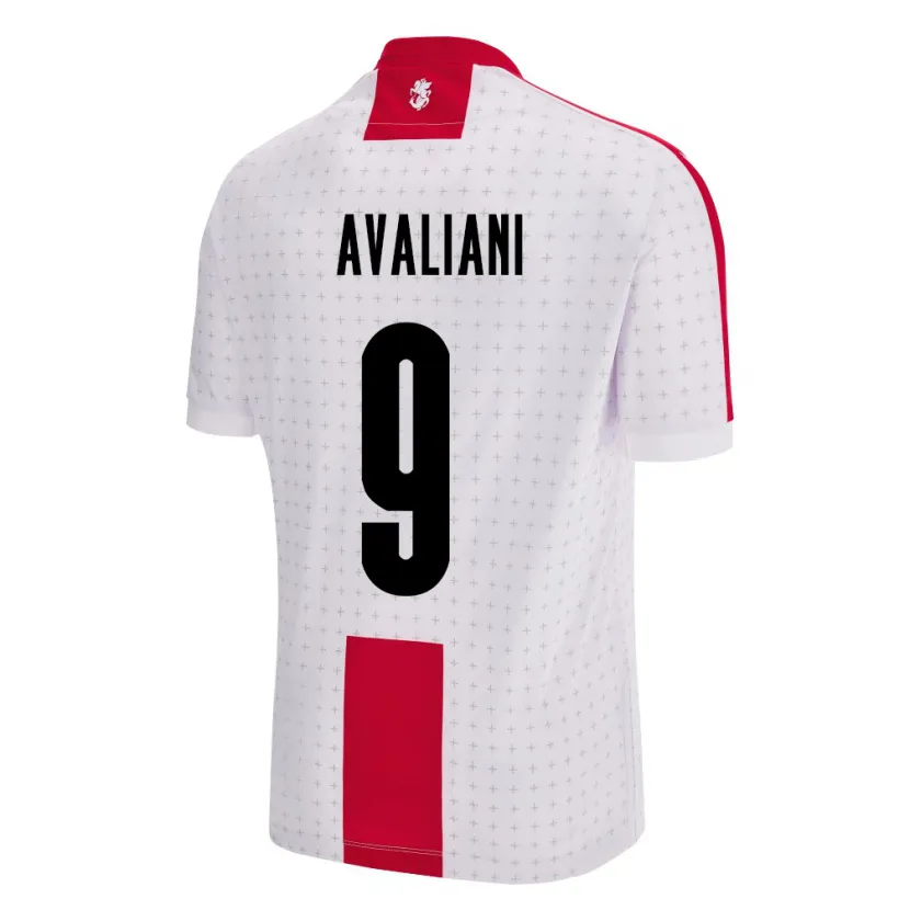 Danxen Kid Georgia Aleksandre Avaliani #9 White Home Jersey 24-26 T-Shirt