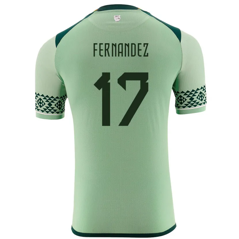 Danxen Kid Bolivia Roberto Fernández #17 Light Green Home Jersey 24-26 T-Shirt