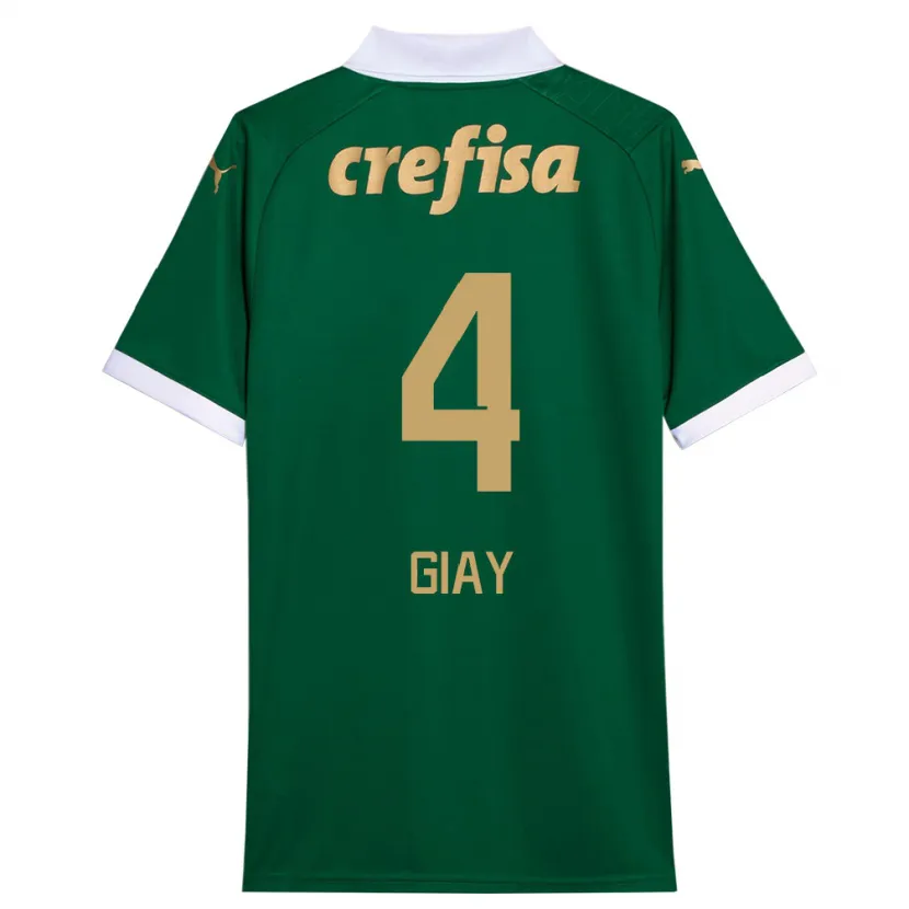 Danxen Men Agustín Giay #4 Green White Home Jersey 2024/25 T-Shirt