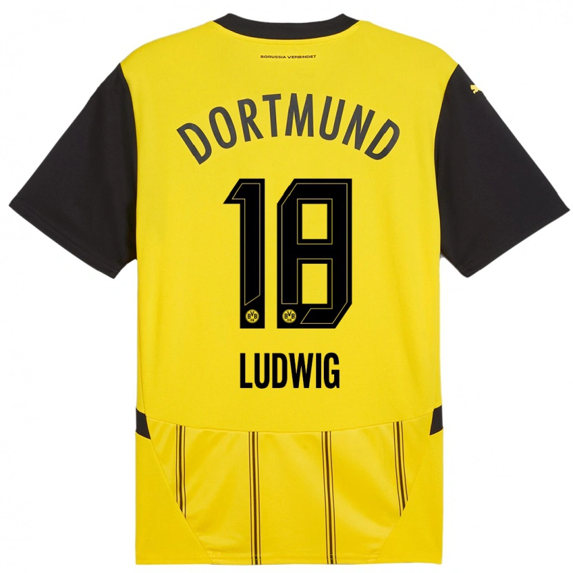 Danxen Kid Michel Ludwig #18 Yellow Black Home Jersey 2024/25 T-Shirt