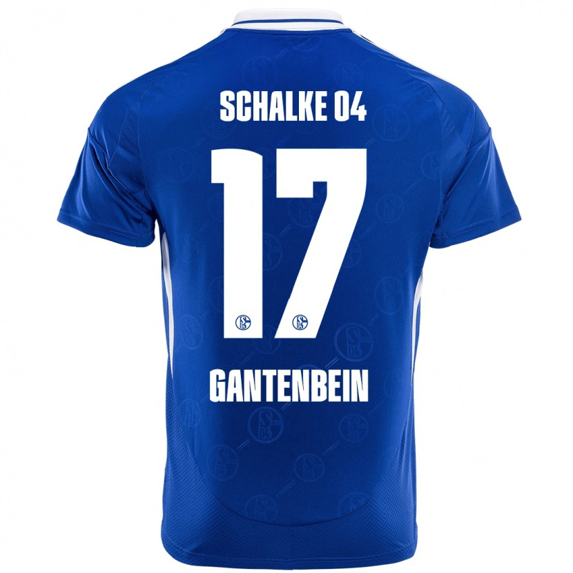 Danxen Men Adrian Gantenbein #17 Royal Blue Home Jersey 2024/25 T-Shirt