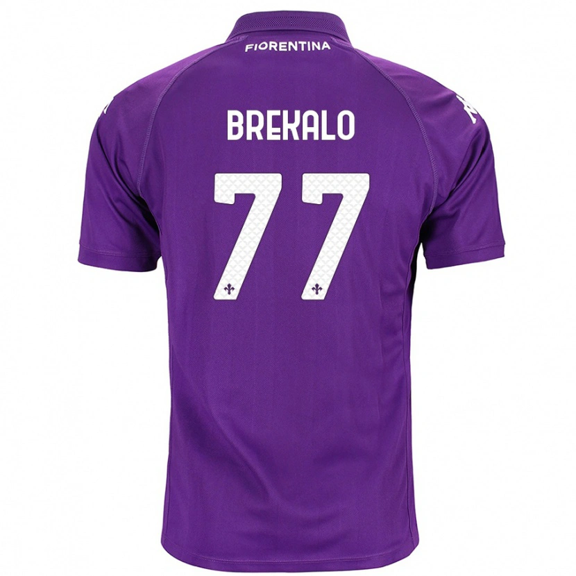 Danxen Kid Josip Brekalo #77 Purple Home Jersey 2024/25 T-Shirt