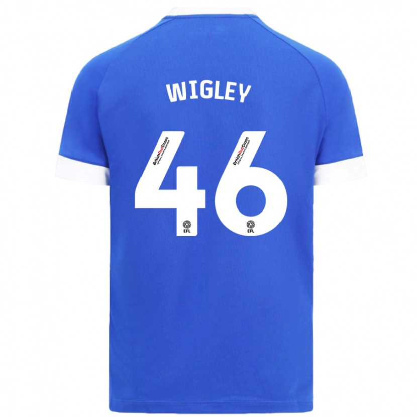 Danxen Kid Morgan Wigley #46 Sky Blue Home Jersey 2024/25 T-Shirt