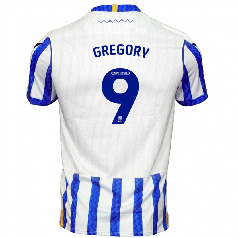 Danxen Kid Lee Gregory #9 Blue White Home Jersey 2024/25 T-Shirt