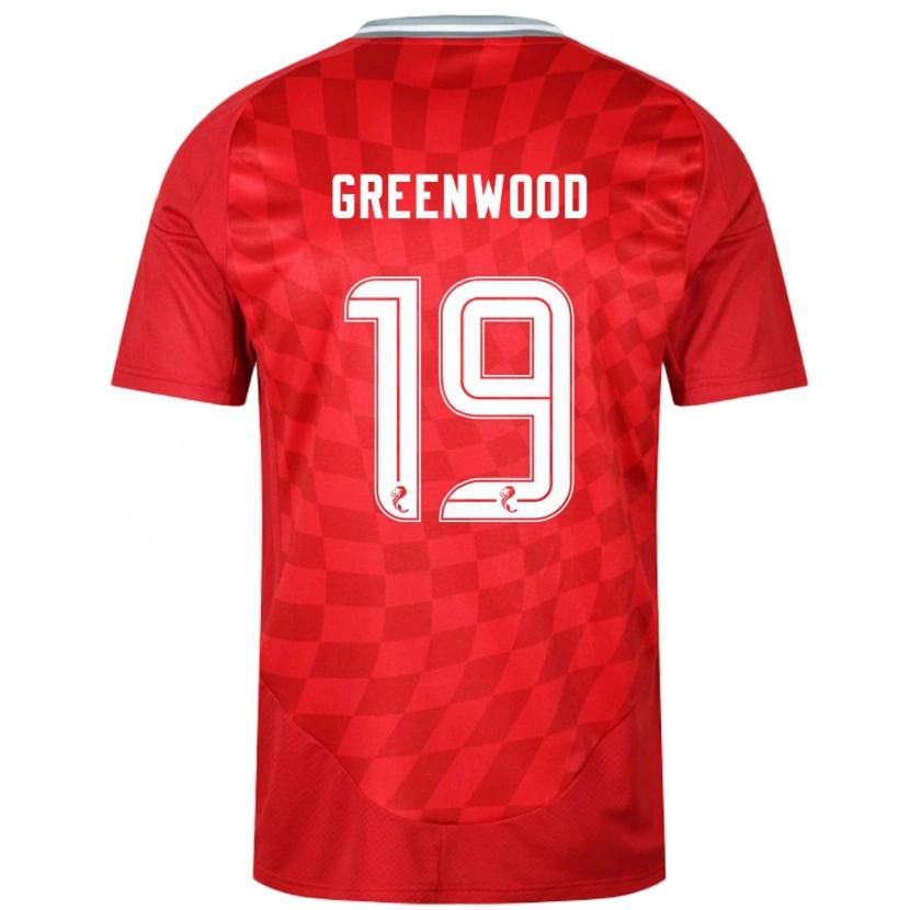 Danxen Men Brodie Greenwood #19 Red Home Jersey 2024/25 T-Shirt